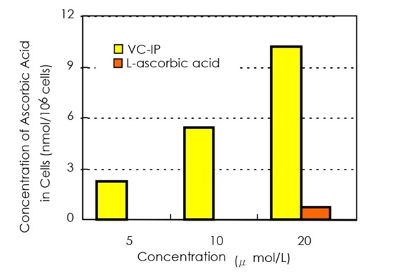Vitamin C VC-IP effectiveness on skin compared to regular L-ascorbic acid